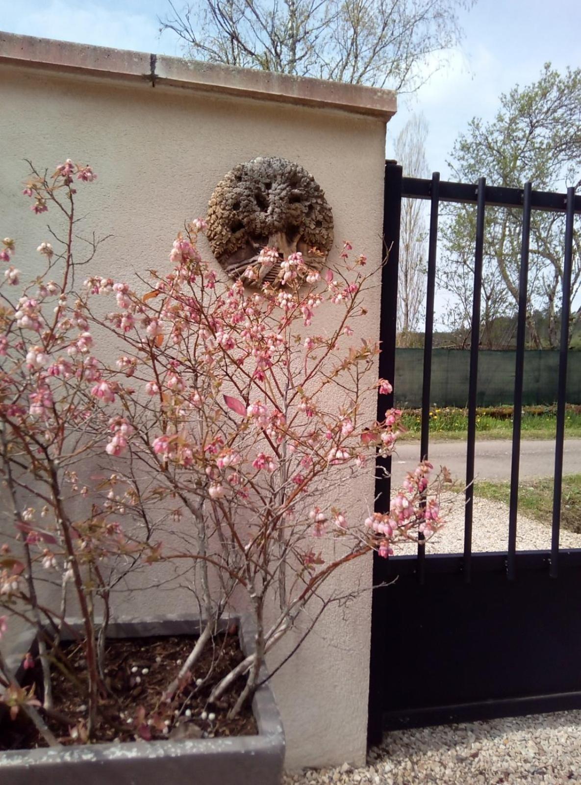 Le Repos Coquelicot Bed & Breakfast Montillot Bagian luar foto